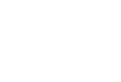 maschseefest-logo-overlay